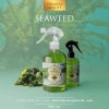 Mislina lakásillatosító spray 500 ml (seaweed) / tengeri moszat illat